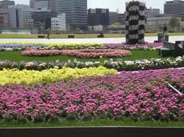 Flower Garden - Yokohama