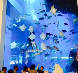 Dubai Mall Aquarium