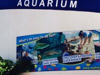 JeanneAtSign  At Entrance of Great Barrier Reef Aquarium