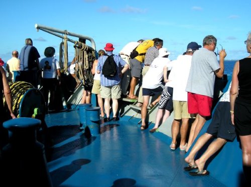 passengers awaiting dolphin show in the bow.jpg
